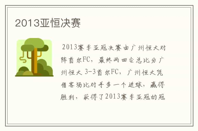 2013亚恒决赛