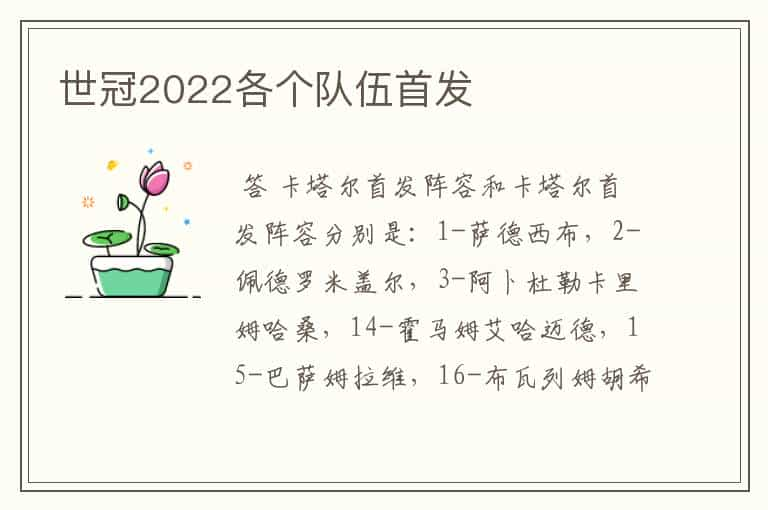 世冠2022各个队伍首发