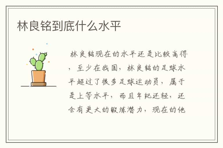 林良铭到底什么水平