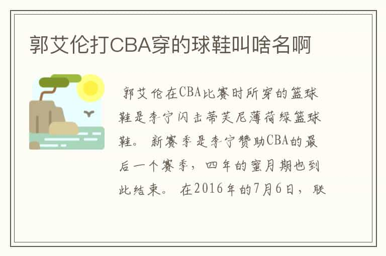 郭艾伦打CBA穿的球鞋叫啥名啊