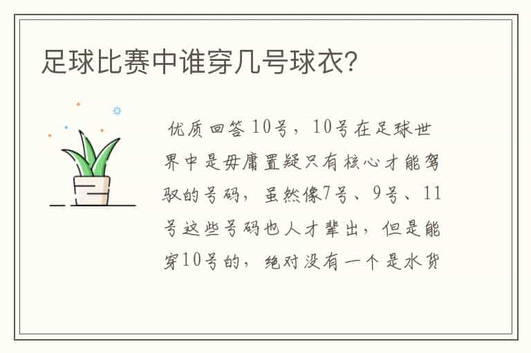 足球比赛中谁穿几号球衣？