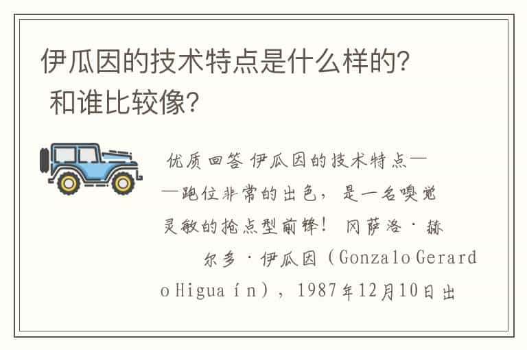 伊瓜因的技术特点是什么样的？ 和谁比较像？