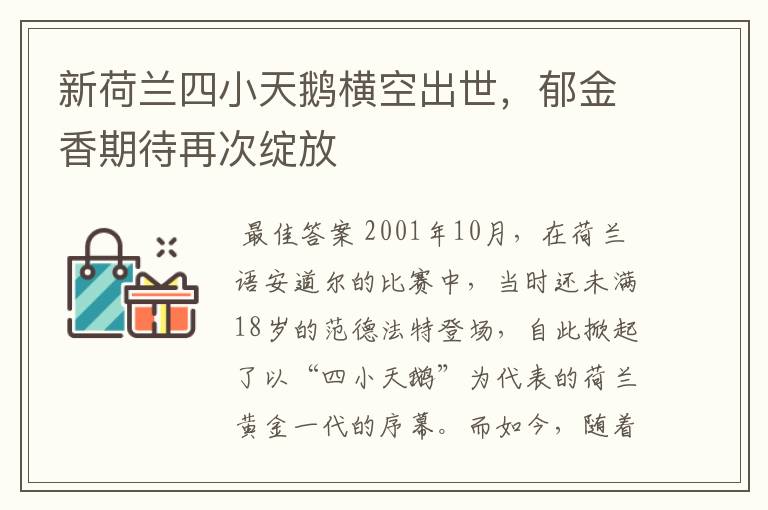 新荷兰四小天鹅横空出世，郁金香期待再次绽放