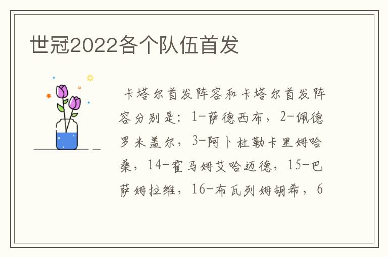 世冠2022各个队伍首发