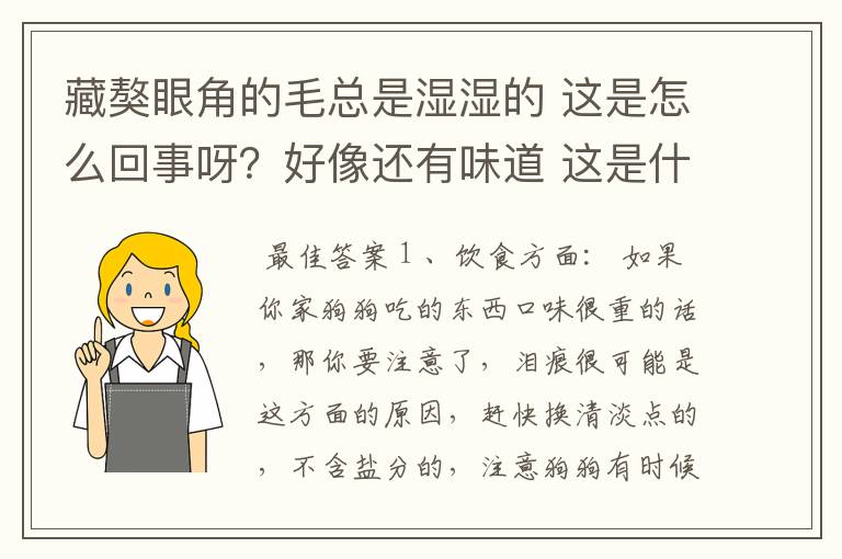 藏獒眼角的毛总是湿湿的 这是怎么回事呀？好像还有味道 这是什么情况是正常吗？