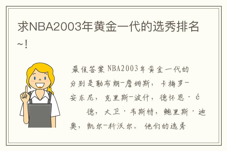 求NBA2003年黄金一代的选秀排名~！