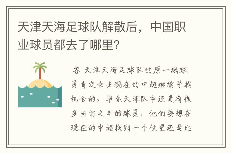 天津天海足球队解散后，中国职业球员都去了哪里？