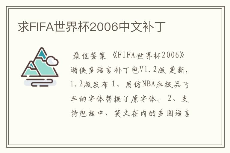 求FIFA世界杯2006中文补丁