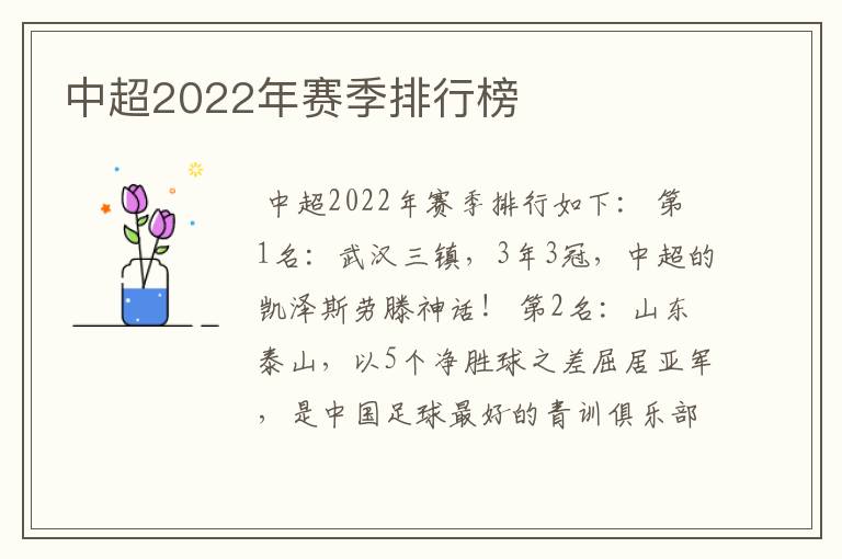 中超2022年赛季排行榜