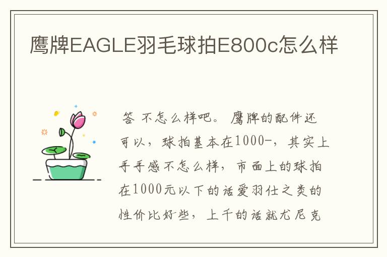 鹰牌EAGLE羽毛球拍E800c怎么样