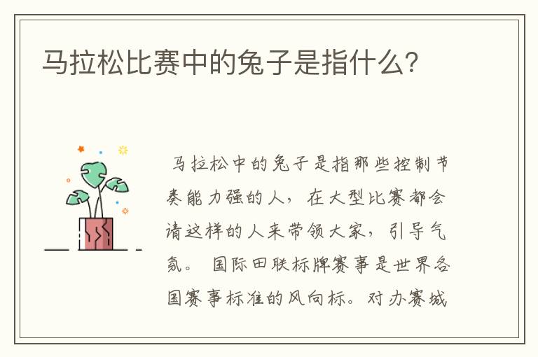 马拉松比赛中的兔子是指什么？