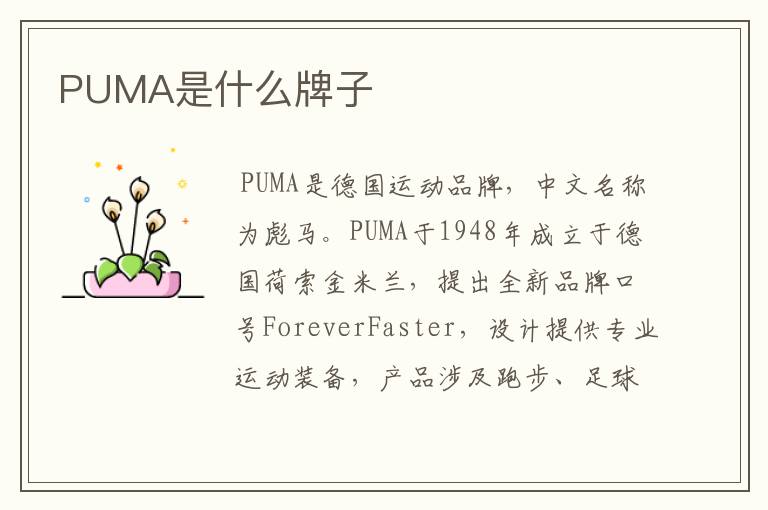 PUMA是什么牌子