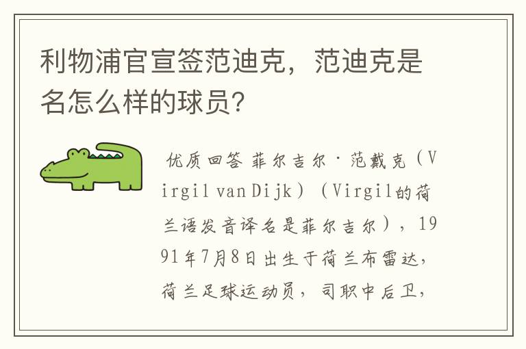 利物浦官宣签范迪克，范迪克是名怎么样的球员？