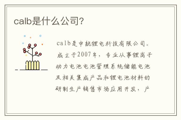 calb是什么公司?