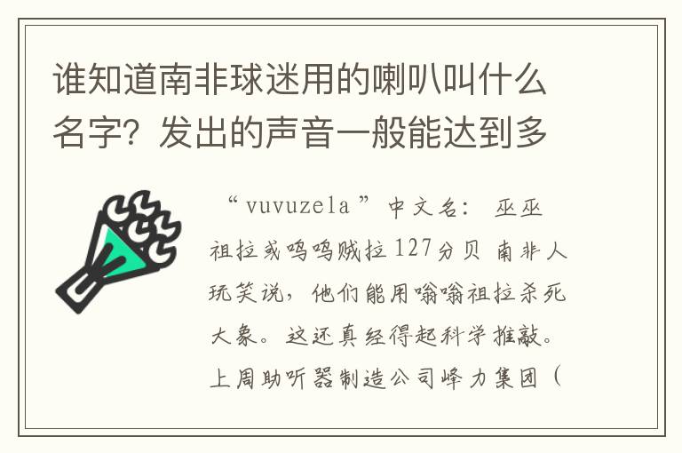 谁知道南非球迷用的喇叭叫什么名字？发出的声音一般能达到多少分贝？