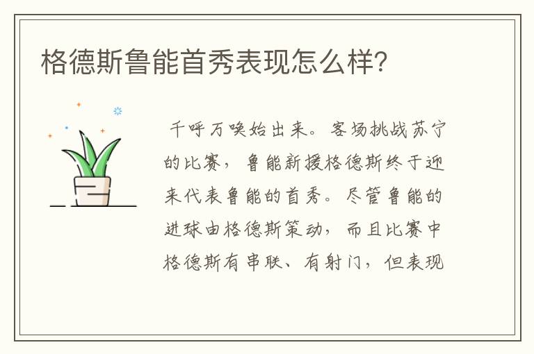 格德斯鲁能首秀表现怎么样？