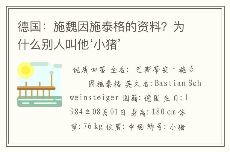 德国：施魏因施泰格的资料？为什么别人叫他‘小猪’