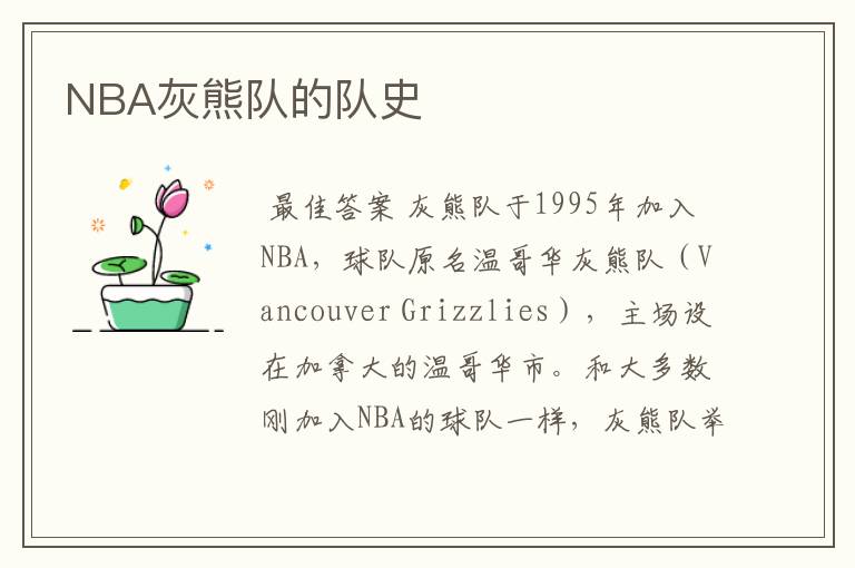 NBA灰熊队的队史