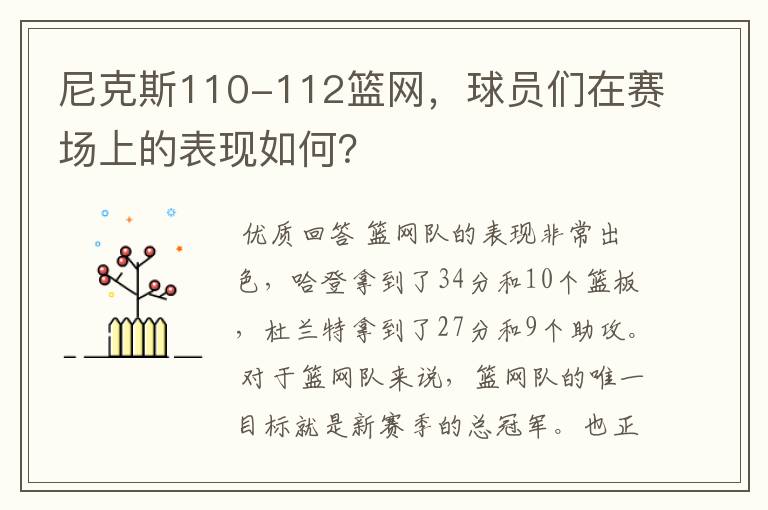 尼克斯110-112篮网，球员们在赛场上的表现如何？