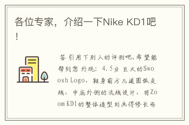 各位专家，介绍一下Nike KD1吧！