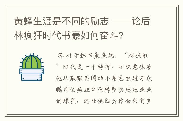 黄蜂生涯是不同的励志 ——论后林疯狂时代书豪如何奋斗？