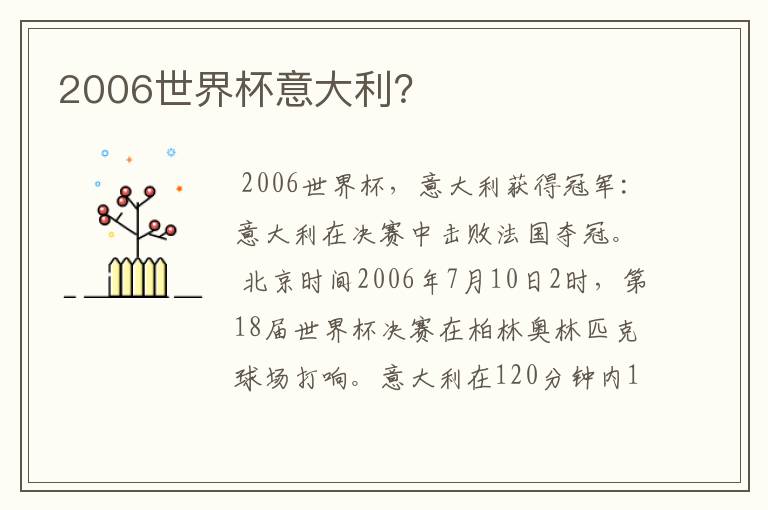 2006世界杯意大利？