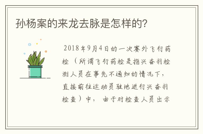 孙杨案的来龙去脉是怎样的？