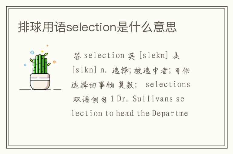 排球用语selection是什么意思