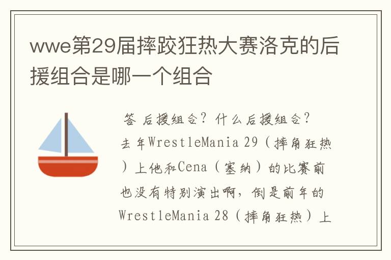 wwe第29届摔跤狂热大赛洛克的后援组合是哪一个组合