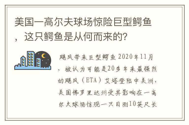 美国一高尔夫球场惊险巨型鳄鱼，这只鳄鱼是从何而来的？