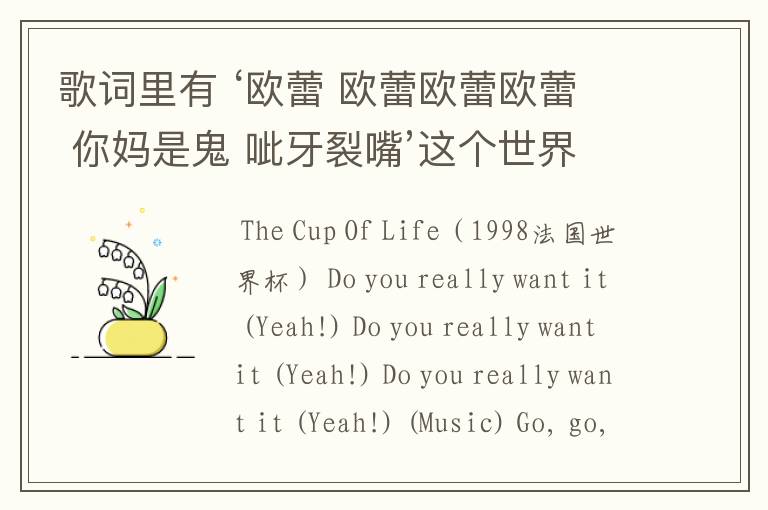 歌词里有 ‘欧蕾 欧蕾欧蕾欧蕾 你妈是鬼 呲牙裂嘴’这个世界杯主题曲叫啥名呀 是哪一届的？