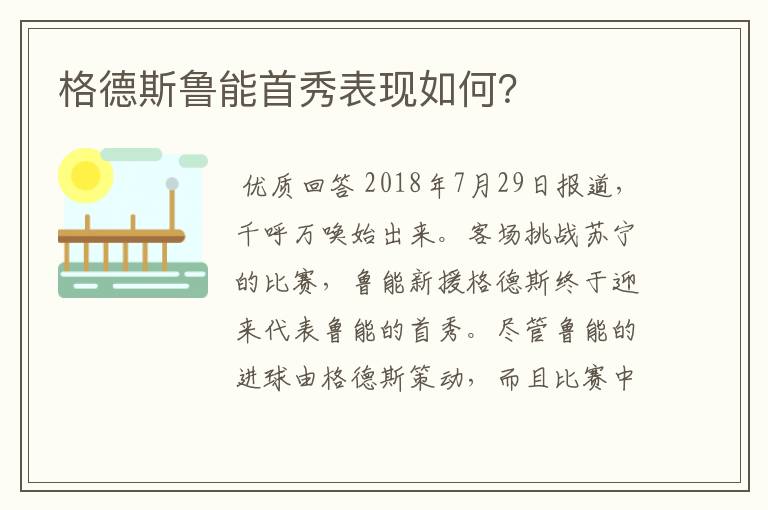 格德斯鲁能首秀表现如何？