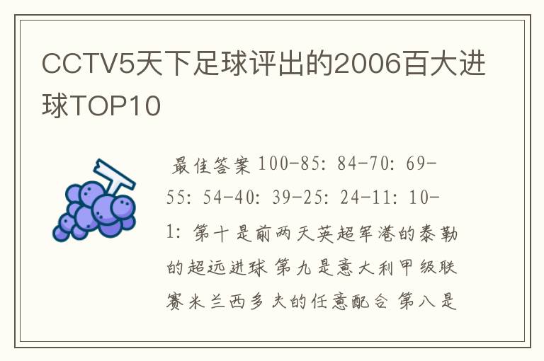 CCTV5天下足球评出的2006百大进球TOP10