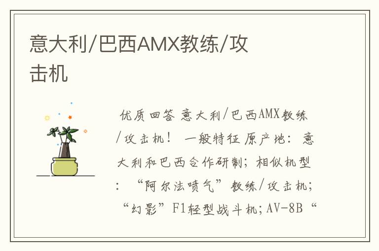 意大利/巴西AMX教练/攻击机