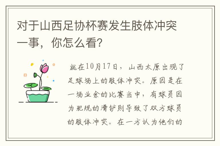 对于山西足协杯赛发生肢体冲突一事，你怎么看？