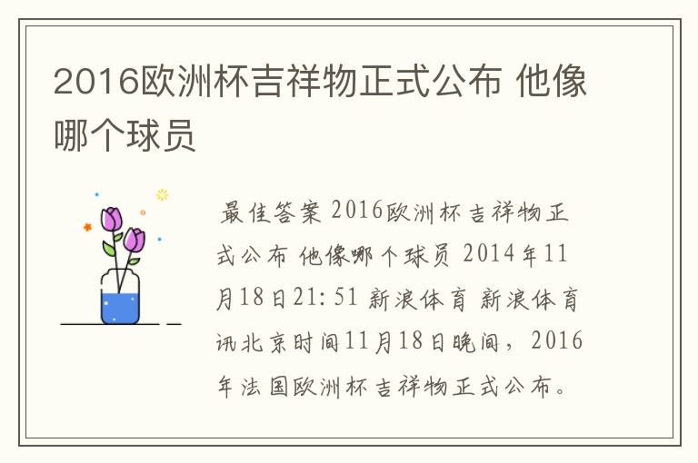 2016欧洲杯吉祥物正式公布 他像哪个球员