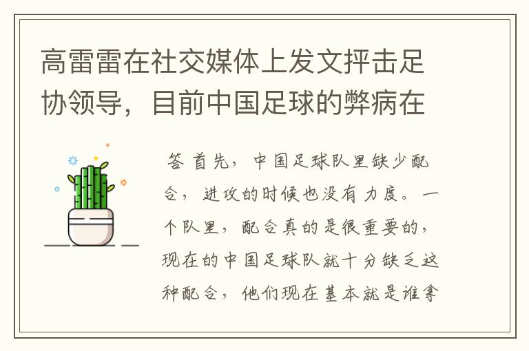 高雷雷在社交媒体上发文抨击足协领导，目前中国足球的弊病在哪里？