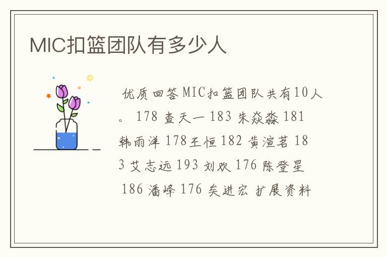 MIC扣篮团队有多少人