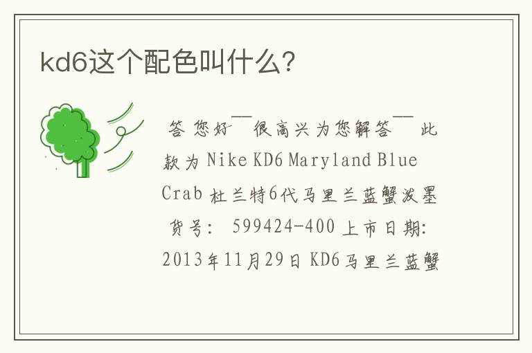 kd6这个配色叫什么？