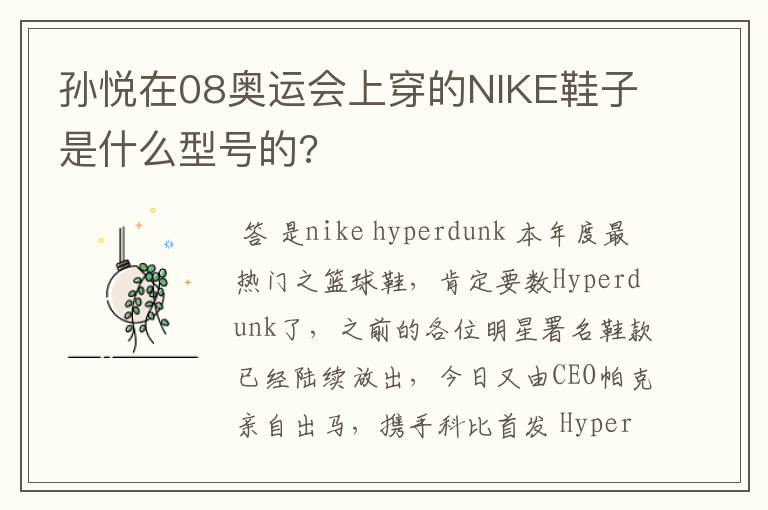 孙悦在08奥运会上穿的NIKE鞋子是什么型号的?