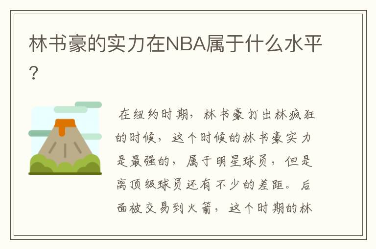 林书豪的实力在NBA属于什么水平?