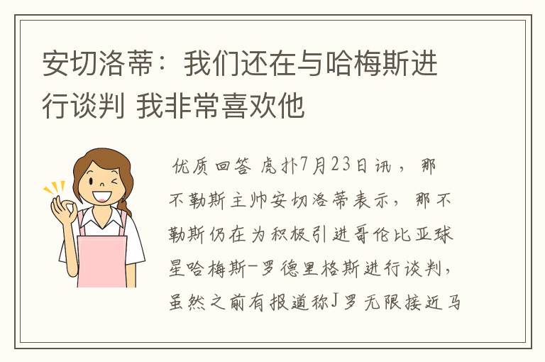 安切洛蒂：我们还在与哈梅斯进行谈判 我非常喜欢他