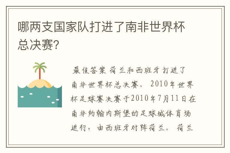 哪两支国家队打进了南非世界杯总决赛？