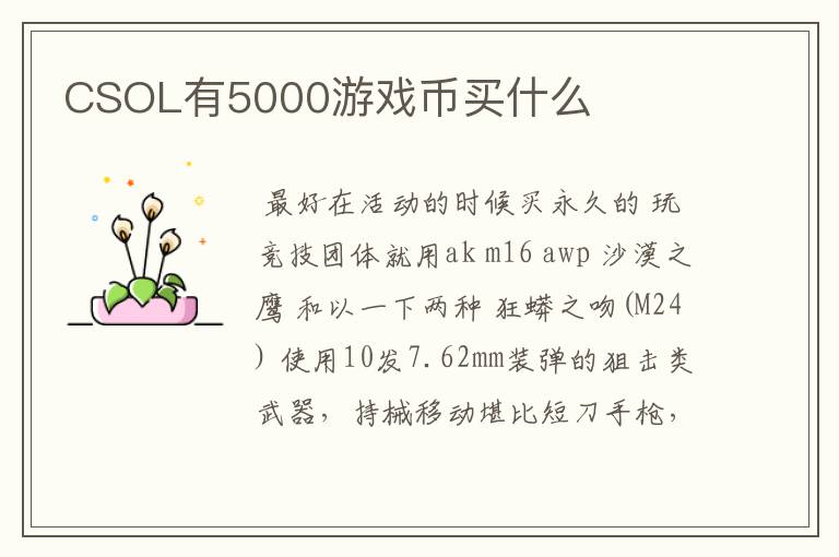 CSOL有5000游戏币买什么