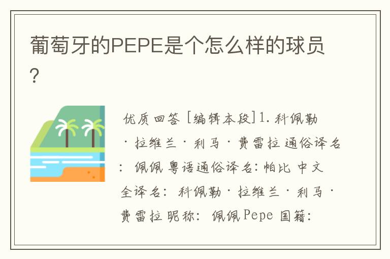 葡萄牙的PEPE是个怎么样的球员？