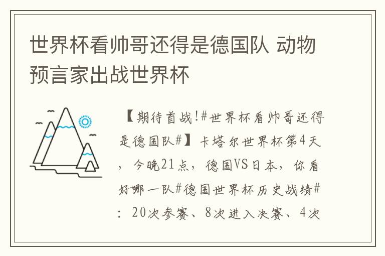 世界杯看帅哥还得是德国队 动物预言家出战世界杯