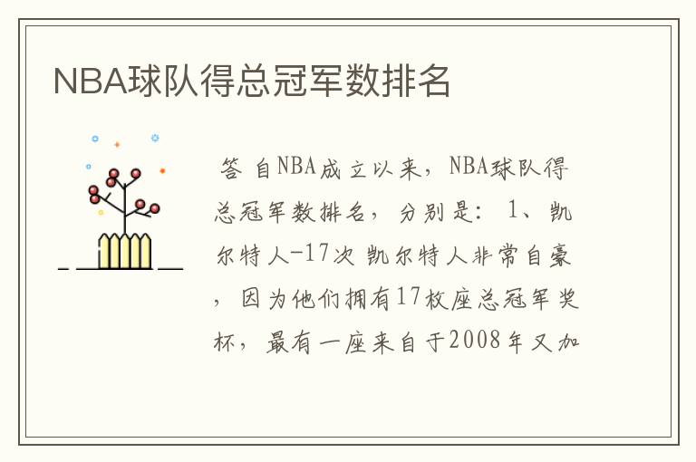 NBA球队得总冠军数排名