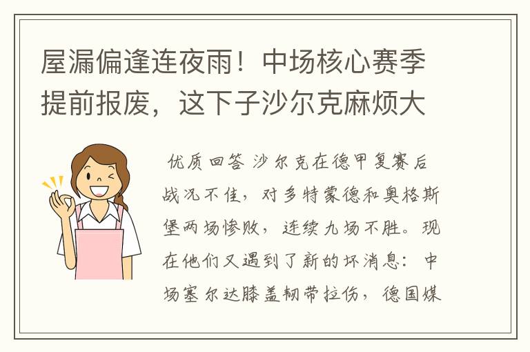 屋漏偏逢连夜雨！中场核心赛季提前报废，这下子沙尔克麻烦大了