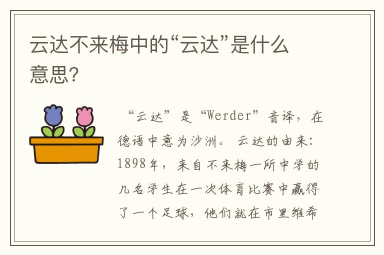 云达不来梅中的“云达”是什么意思？