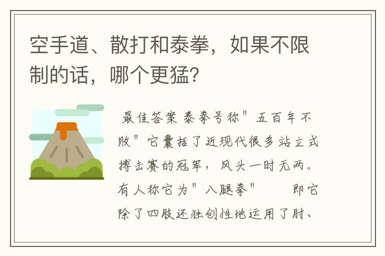 空手道、散打和泰拳，如果不限制的话，哪个更猛？